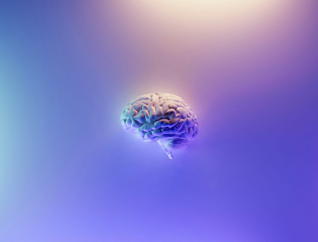 Neurociencia y Lego Serious Play