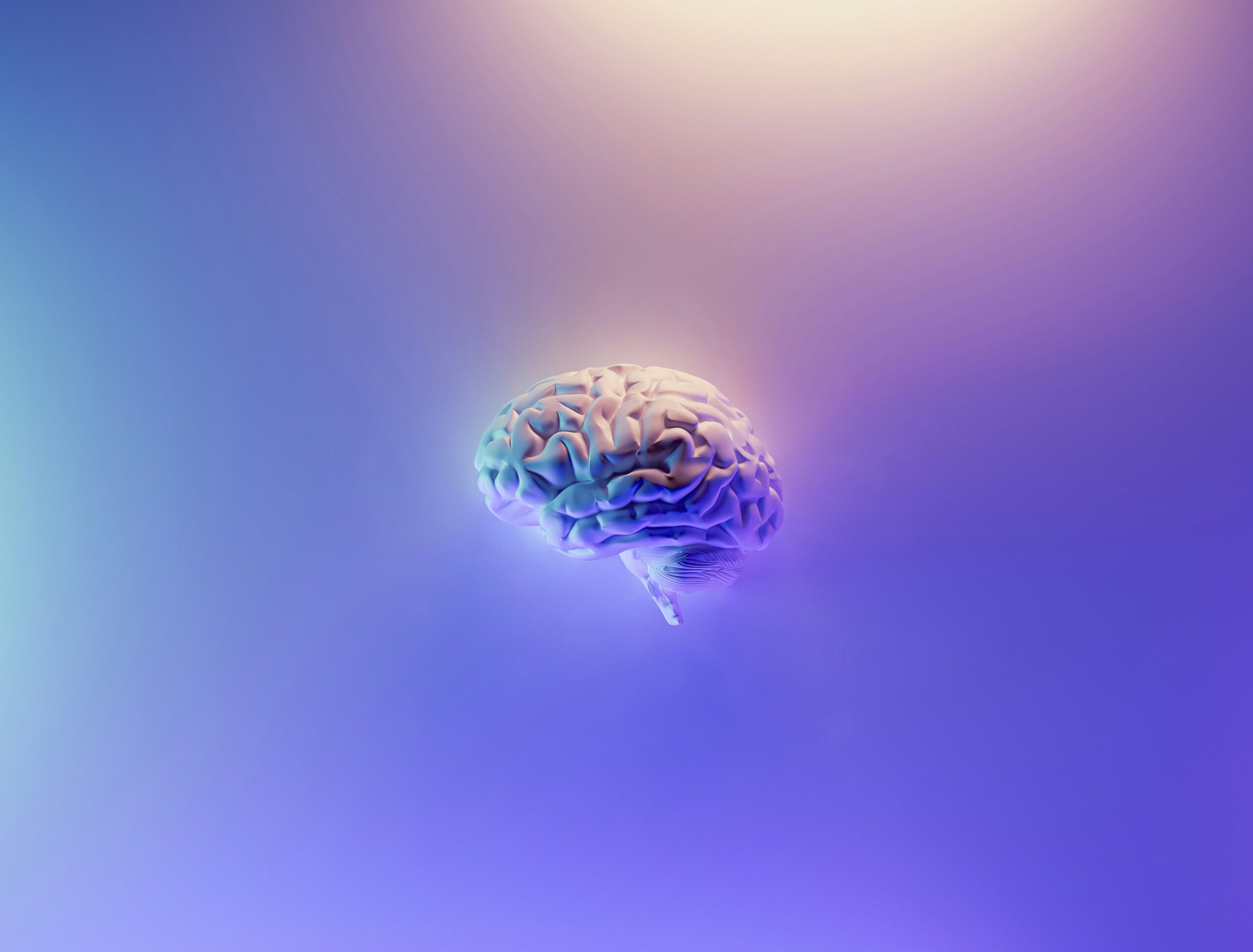 Neurociencia y Lego Serious Play