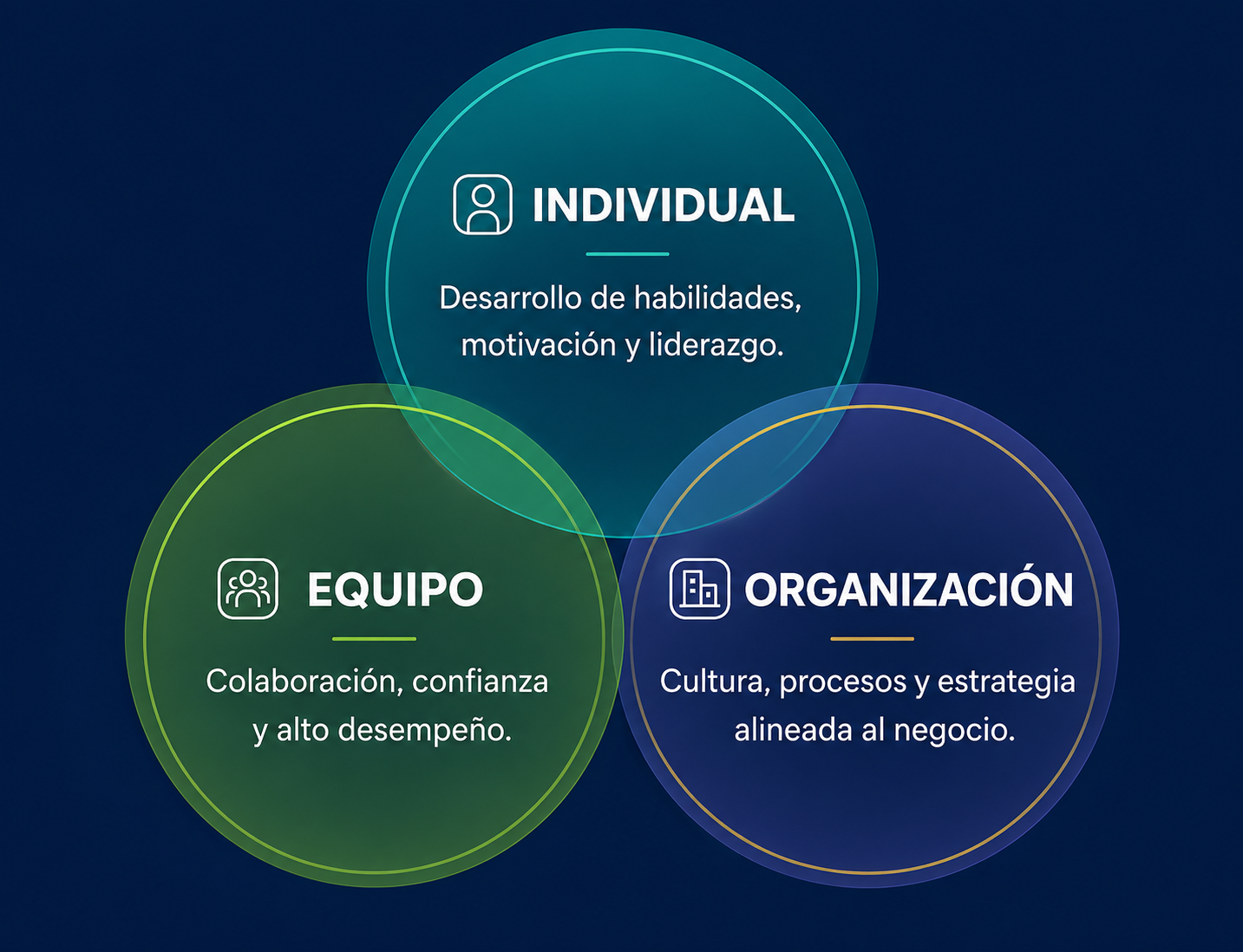 Concepto - Individual, Equipo y Organización